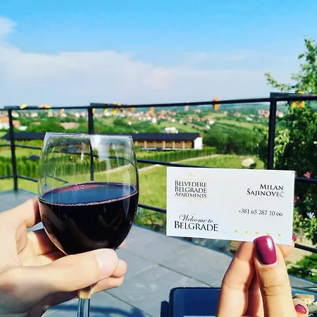 Апартаменты Belvedere Skadarska