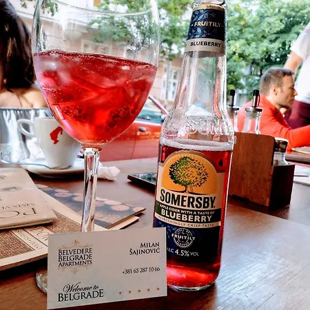 Belvedere Skadarska Apartamento *